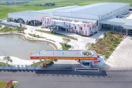 May Sông Hồng sắp chi trả 83 tỷ đồng cổ tức cho gia đình Chủ tịch 