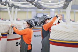 Sợi Thế Kỷ giải trình gì khi lợi nhuận 'bốc hơi' 73% sau kiểm toán?