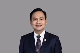 Bamboo Capital: Các hoạt động của Công ty vẫn diễn ra bình thường