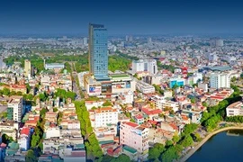 Tập đoàn TNT bị xử phạt và truy thu thuế gần nửa tỷ đồng