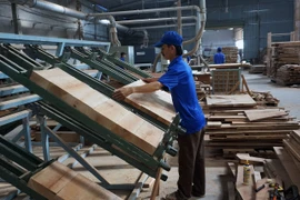 Cty Tinh Mộc trúng 2 gói mua sắm của Ban quản lý dự án 1 Sóc Trăng