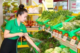 SSI Research: Bách Hoá Xanh có thể lãi đến 542 tỷ trong năm 2025