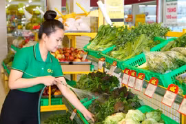 SSI Research: Bách Hoá Xanh có thể lãi đến 542 tỷ trong năm 2025