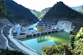 S96 tiếp tục dời lịch chia cổ tức sang năm thứ 16