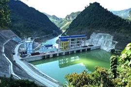 S96 tiếp tục dời lịch chia cổ tức sang năm thứ 16