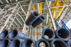 SHS dự báo lợi nhuận Hòa Phát đạt 12.591 tỷ trong năm 2025