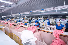 Vinatex sắp nhận được 52 tỷ tiền cổ tức từ Dệt may Phong Phú