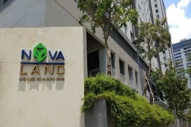 Lần đầu báo lỗ, Novaland bị nghi ngờ khả năng hoạt động liên tục