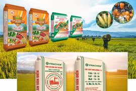 Cổ phiếu VAF của Phân lân Văn Điển rơi vào diện kiểm soát 