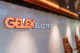 GELEX Electric sắp phát hành 61 triệu cổ phiếu, nâng vốn lên 3.660 tỷ