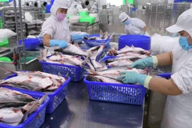 Vĩnh Hoàn: Xuất khẩu sang Trung Quốc giảm 54% trong tháng 2