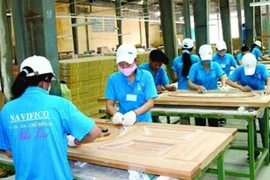 Navifico chốt quyền trả cổ tức 5% bằng tiền mặt