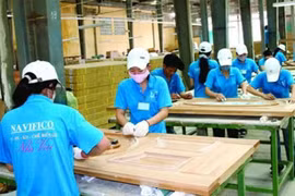 Navifico chốt quyền trả cổ tức 5% bằng tiền mặt