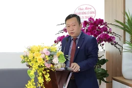 Phó Chủ tịch Bamboo Capital bị bán giải chấp 6,5 triệu cổ phiếu BCG