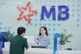 Manulife Việt Nam bất ngờ sở hữu hơn 1% vốn MB