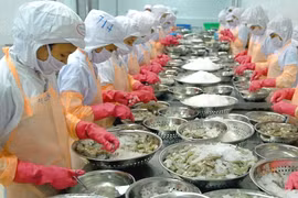 Lãnh đạo Camimex gửi tâm thư trấn an cổ đông