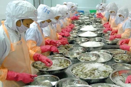 Lãnh đạo Camimex gửi tâm thư trấn an cổ đông