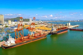 Cảng Quy Nhơn lên kế hoạch lãi 195 tỷ đồng năm 2025