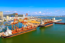 Cảng Quy Nhơn lên kế hoạch lãi 195 tỷ đồng năm 2025