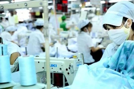 Một công ty may trả cổ tức bằng tiền gấp 14 lần thị giá