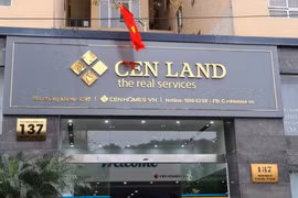 Cen Land nói gì về kết quả kinh doanh quý 1 giảm sâu 60%?