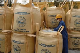 Cổ phiếu tăng trần 5 phiên, Phân lân Văn Điển giải trình thế nào?