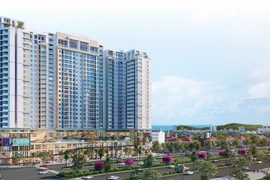 DIC Holdings ước lãi khủng 164 tỷ năm 2024, kế hoạch 2025 255 tỷ