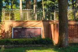 Năng lực Cao su An Lộc ra sao khi được Donaruco chỉ định đến 80 gói thầu?