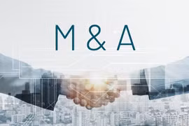 Các thương vụ M&A nổi bật năm 2024 