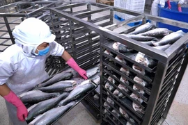 Thủy sản Nam Việt (ANV) vừa bị Cục Hải quan An Giang xử phạt