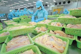 Con trai Tổng giám đốc Doãn Tới lại bị bán giải chấp 1,4 triệu cổ phiếu ANV