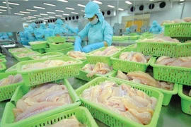 Con trai Tổng giám đốc Doãn Tới lại bị bán giải chấp 1,4 triệu cổ phiếu ANV