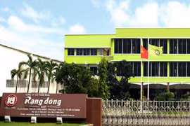 Rạng Đông Holding bị xử phạt 242,5 triệu đồng vì thông tin sai lệch