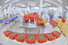 Doanh nghiệp thủy sản kỳ vọng tăng trưởng 10-16% năm 2025