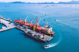 Cảng Cam Ranh bị phạt, truy thu hàng trăm triệu