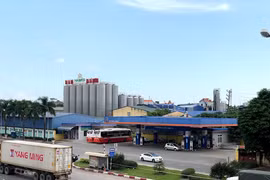 Bia Hà Nội - Hải Dương báo lỗ quý đầu năm 2025