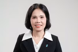Chân dung nữ Chủ tịch mới của PGBank