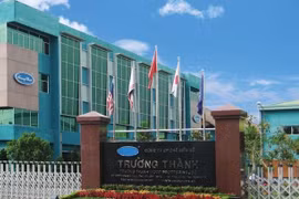 Lợi nhuận Gỗ Trường Thành 'bốc hơi' 51% sau kiểm toán