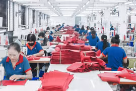 Legamex kinh doanh thua lỗ, Chủ tịch Nguyễn Hoàng Vũ muốn thoái toàn bộ vốn