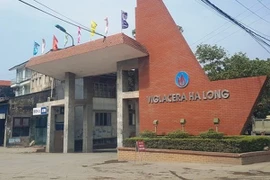 Viglacera Hạ Long: Thua lỗ 11 quý liên tiếp, loạt lãnh đạo từ nhiệm