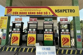 Cạn kiệt tiền mặt, NSH Petro báo lỗ gần 790 tỷ đồng năm 2024