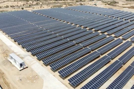 Năng lượng Ninh Thuận của CEO Lê Mạnh Hà lỗ 200 tỷ năm 2024