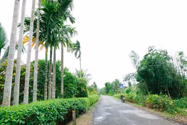 Lý do Công ty Bình An bị loại 2 gói thầu tại Cà Mau?