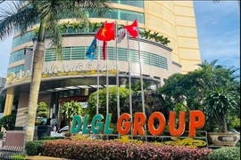 Nhờ được ngân hàng xóa nợ, Đức Long Gia Lai thoát lỗ