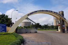 Lợi nhuận năm 2024 Vicem Hà Tiên giảm 7% sau kiểm toán