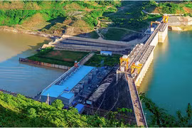 Nước sạch Hòa Bình – Xuân Mai của Shark Liên báo lỗ, nợ trái phiếu 900 tỷ