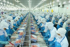 'Nữ hoàng' cá tra Vĩnh Hoàn bất ngờ hạ mục tiêu lợi nhuận