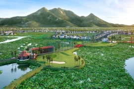 Nguyên nhân gì giúp Thăng Long Invest Group chuyển lỗ thành lãi?