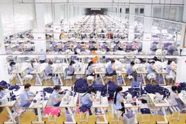 Dệt may Thành Công bị phạt hơn 1,79 tỷ đồng