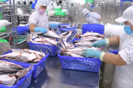 VHC: Doanh thu trong tháng 10 đạt hơn 1.200 tỷ đồng